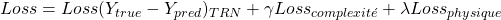 Loss = Loss(Y_{true}-Y_{pred})_{TRN} + \gamma Loss_{complexité} + \lambda Loss_{physique}