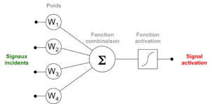 Neurone formel - réseaux de neurones