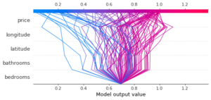 Interprétabilité de modèle de Machine Learning Model