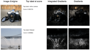 Méthode d’explicabilité : Integrated gradients