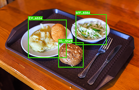 ANALYSER ET SEGMENTER AUTOMATIQUEMENT LES PLATEAUX REPAS